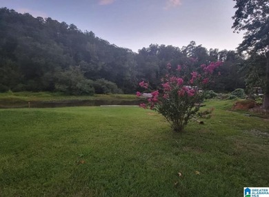 Great investment property. Two adjoining water front lots sold - photo 5