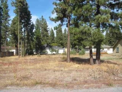 Lake Lot For Sale in Chester, California