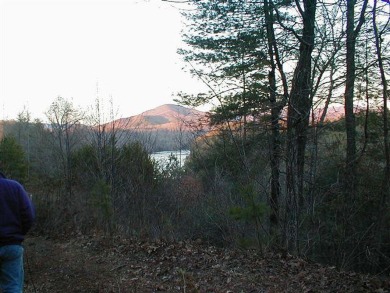 Apalachia Lake Lot For Sale in Murphy North Carolina