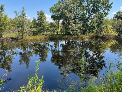 Investor's Dream in Stone Island, Florida! This fixer-upper is a - photo 5