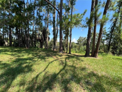 Investor's Dream in Stone Island, Florida! This fixer-upper is a - photo 6