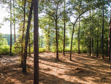 All of this beauty and a price improvement! Discover a hidden - photo 12