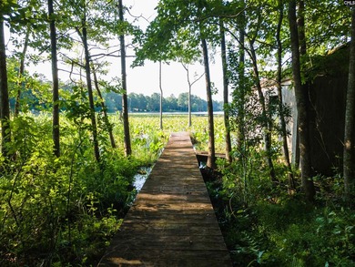 All of this beauty and a price improvement! Discover a hidden - photo 13