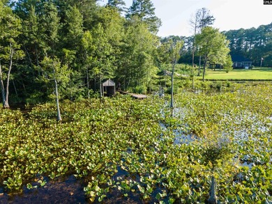All of this beauty and a price improvement! Discover a hidden - photo 15