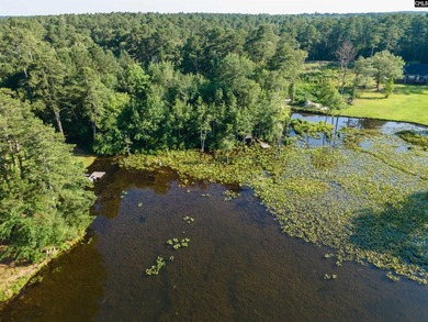 All of this beauty and a price improvement! Discover a hidden - photo 19