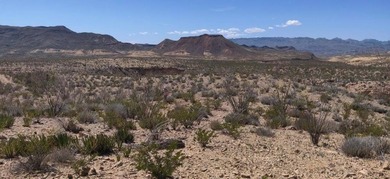 (private lake, pond, creek) Acreage For Sale in Terlingua Texas