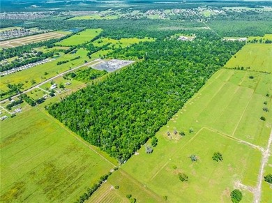 Opportunity awaits! Over +219 acres of raw, undeveloped land - photo 3
