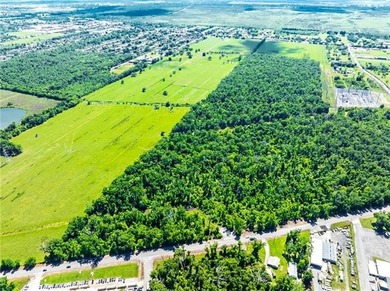 Opportunity awaits! Over +219 acres of raw, undeveloped land - photo 6