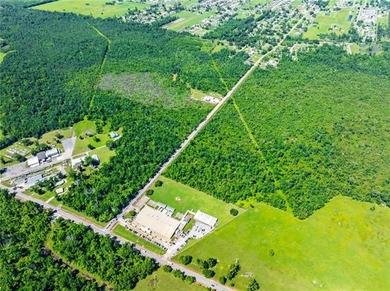 Opportunity awaits! Over +219 acres of raw, undeveloped land - photo 8