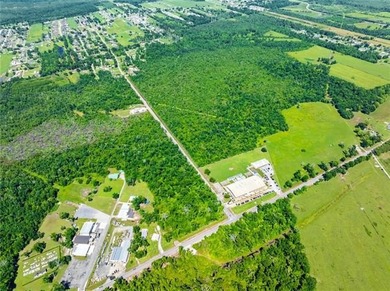 Opportunity awaits! Over +219 acres of raw, undeveloped land - photo 9