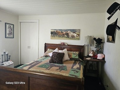 Own a piece of history! This ranch home has 4 bedrooms and - photo 10