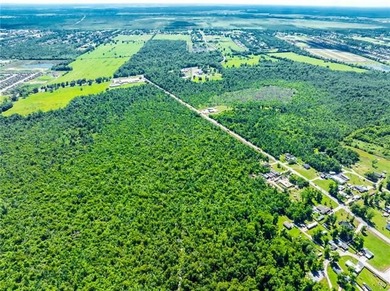 Opportunity awaits! Over +219 acres of raw, undeveloped land - photo 10
