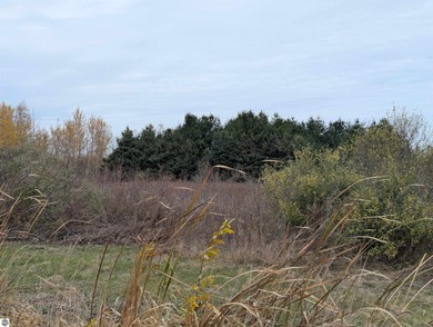 Lake Huron - Arenac County Acreage For Sale in Au Gres Michigan