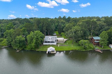Lake life just got an upgrade! This beautifully updated - photo 11