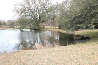 2.92 acres zoned C-3 Commercial in the City of Flowood. Property - photo 6
