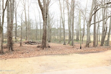 2.92 acres zoned C-3 Commercial in the City of Flowood. Property - photo 10