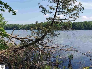 Mickey Lake Acreage For Sale in Traverse City Michigan
