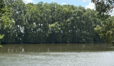 (private lake, pond, coastal) Lot For Sale in Gilbert Louisiana