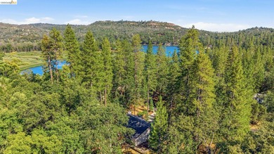 Experience the beauty of foothill living in this elegant home - photo 3