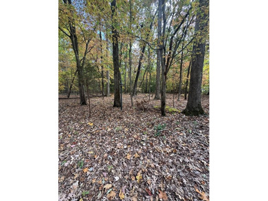 Lake Lot For Sale in Clarksville, Virginia