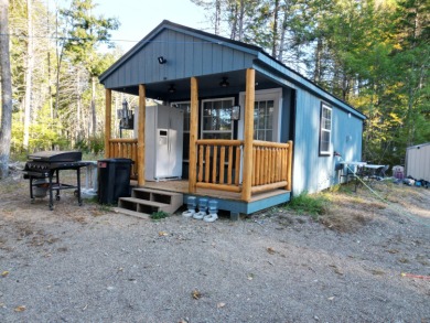 Lake Home For Sale in Lincoln, Maine