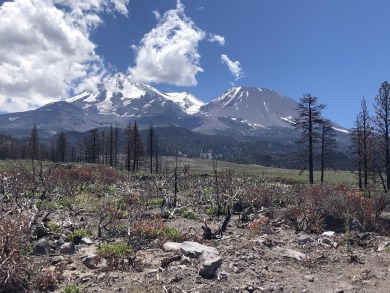  Lot For Sale in Weed California