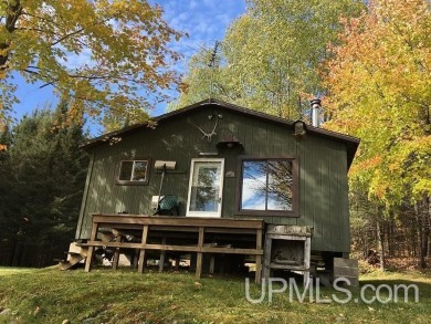 Lake Home For Sale in Republic, Michigan