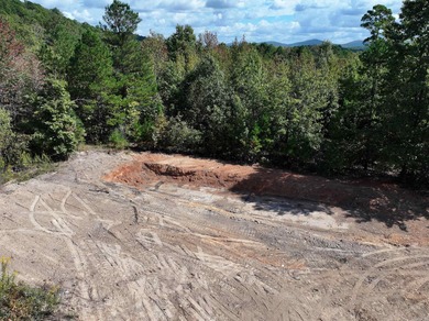 Lake Hamilton Acreage For Sale in Hot Springs Arkansas