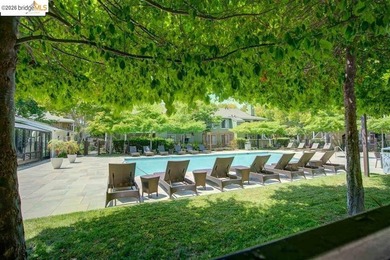 What an opportunity!! Come and see this one bedroom condo in - photo 25