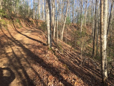Your mountain destination awaits! This property provides a - Lake Lot For Sale in Robbinsville, North Carolina