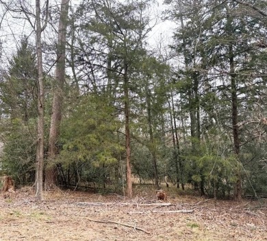 Located just east of Dallas in the 'Piney Woods of East Texas' -