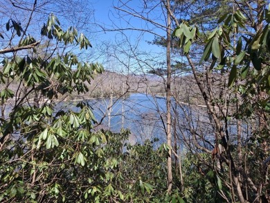 Lake Lot For Sale in Tuckasegee, North Carolina