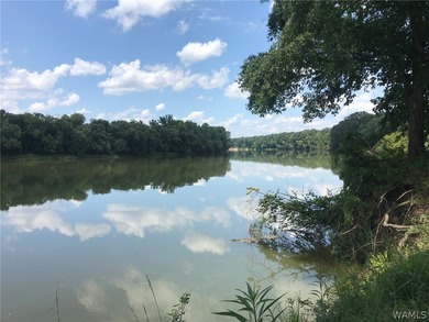 (private lake, pond, coastal) Home Sale Pending in Moundville Alabama