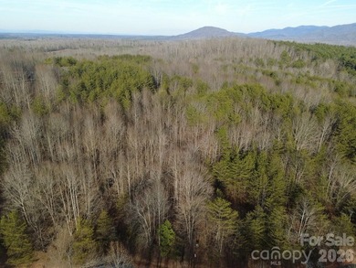 Embrace the tranquil mountain lifestyle on this remarkable - photo 4