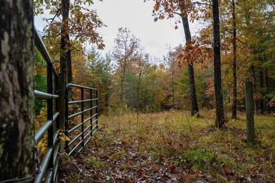 Lake Acreage For Sale in Jamestown, Tennessee