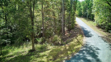 Lake Catherine Acreage For Sale in Hot Springs Arkansas
