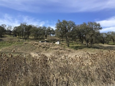 Lake Acreage For Sale in Lakeport, California