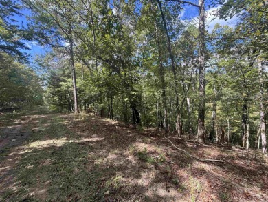 Lake Catherine Acreage For Sale in Hot Springs Arkansas