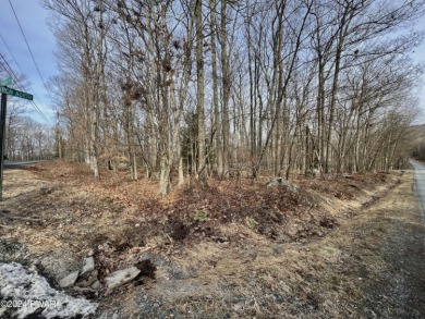 The perfect building lot in Tanglwood North, it is nice and flat - Lake Lot For Sale in Tafton, Pennsylvania