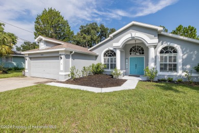 (private lake, pond, creek) Home Sale Pending in Spring Hill Florida