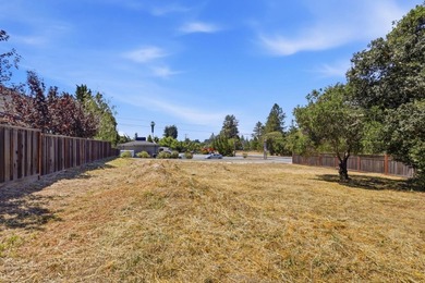 Rare Development opportunity in Santa Cruz. Flat 10,759sq. ft - photo 12