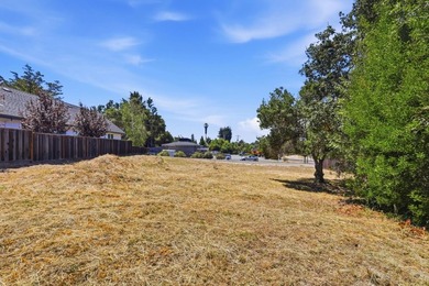 Rare Development opportunity in Santa Cruz. Flat 10,759sq. ft - photo 13