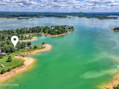 You can enjoy beautiful Douglas Lake right from your living room - photo 16