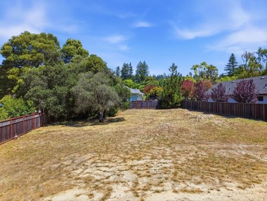 Rare Development opportunity in Santa Cruz. Flat 10,759sq. ft - photo 16