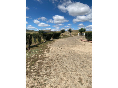 Situated east of Raton and surrounded by a private ranch, this - photo 28