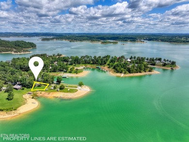 You can enjoy beautiful Douglas Lake right from your living room - photo 36