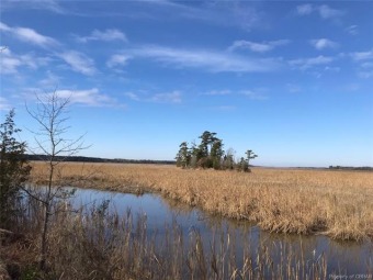 Chesapeake Bay - York River Lot For Sale in Shacklefords Virginia