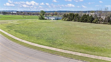 Lake Dardanelle Commercial For Sale in Russellville Arkansas