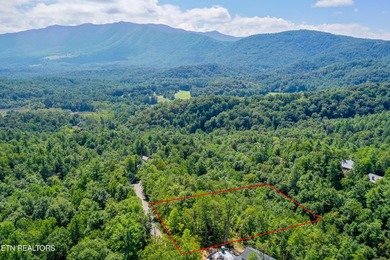 Excellent views available from this building lot located in the - photo 3