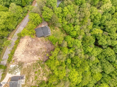 Excellent views available from this building lot located in the - photo 6
